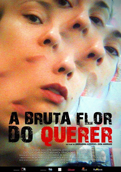 A Bruta Flor do Querer poster portal fama 070416